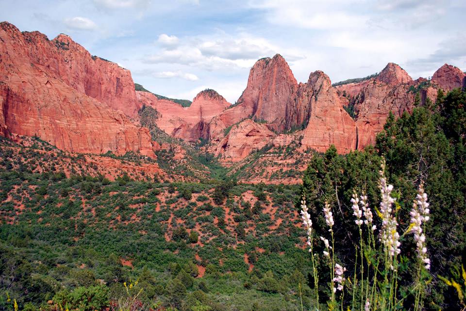 EastZion.jpg (144177 bytes)