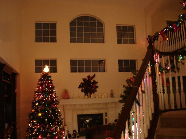 DSC04028.JPG (44192 bytes)