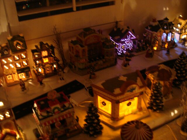 DSC04036.JPG (52966 bytes)