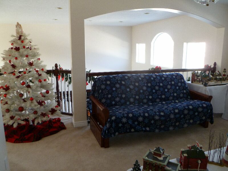 P1000295.JPG (75767 bytes)