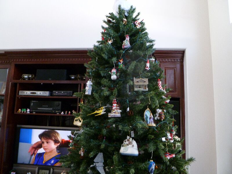 P1000315.JPG (86507 bytes)
