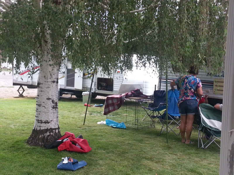 20130724_183436.jpg (184610 bytes)