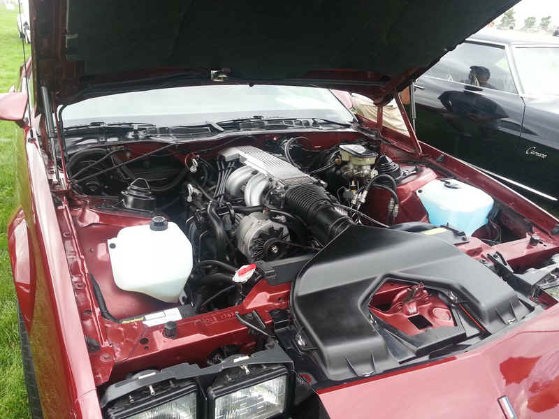 20130907_103149.jpg (155323 bytes)