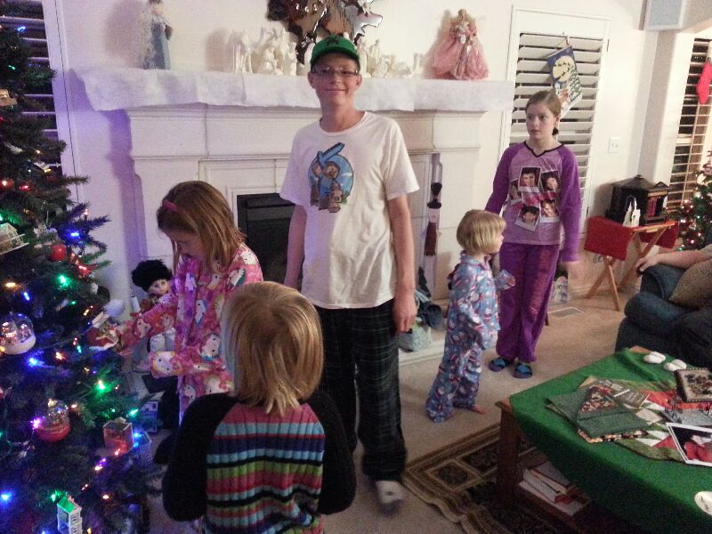 2013-12-24 18.47.57-1.jpg (103333 bytes)