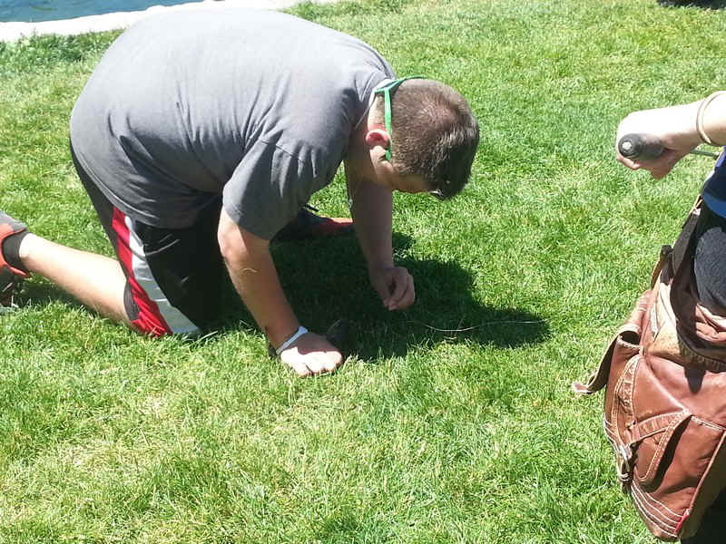 2014-05-26 12.23.04.jpg (242408 bytes)