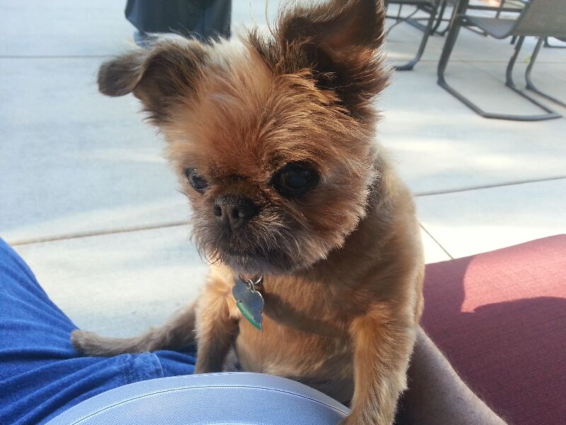 2013-06-05 19.20.54.jpg (79263 bytes)