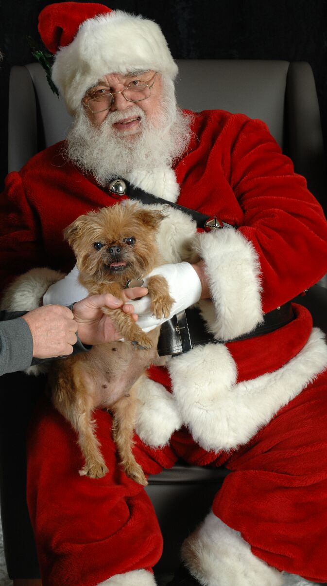 Santa-Abby.jpg (112616 bytes)