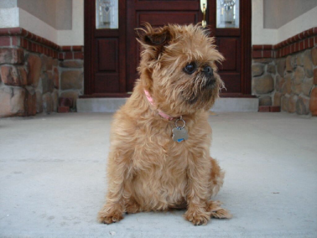 Abby.jpg (80249 bytes)