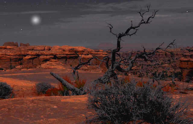 Winter Solstice.bmp (794934 bytes)