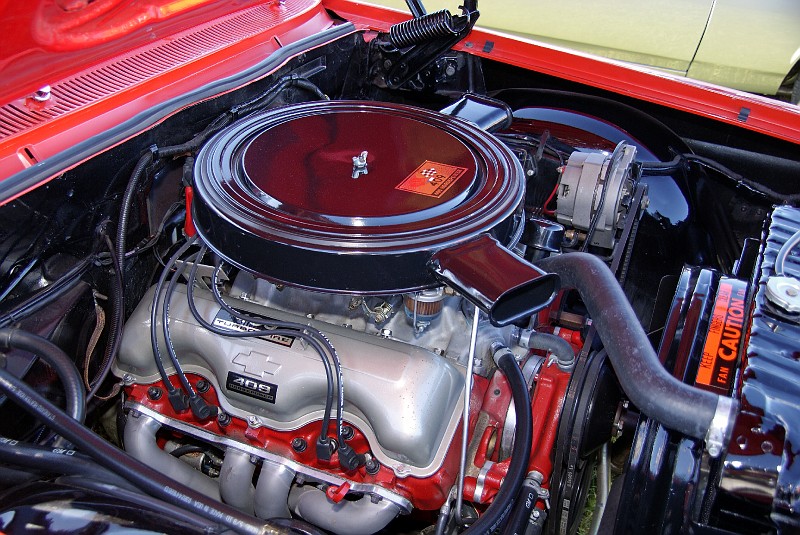 cars1018.jpg (181866 bytes)