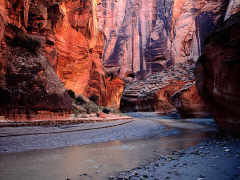 canyon.jpg (9267 bytes)