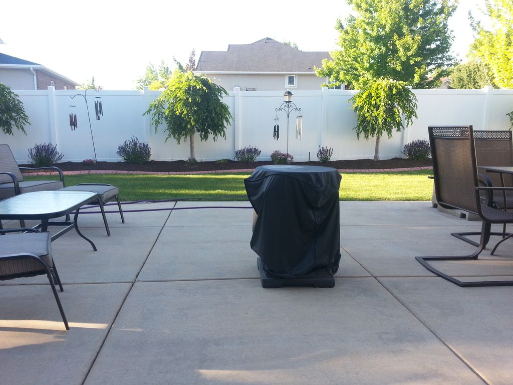 Backyard03.jpg (127671 bytes)