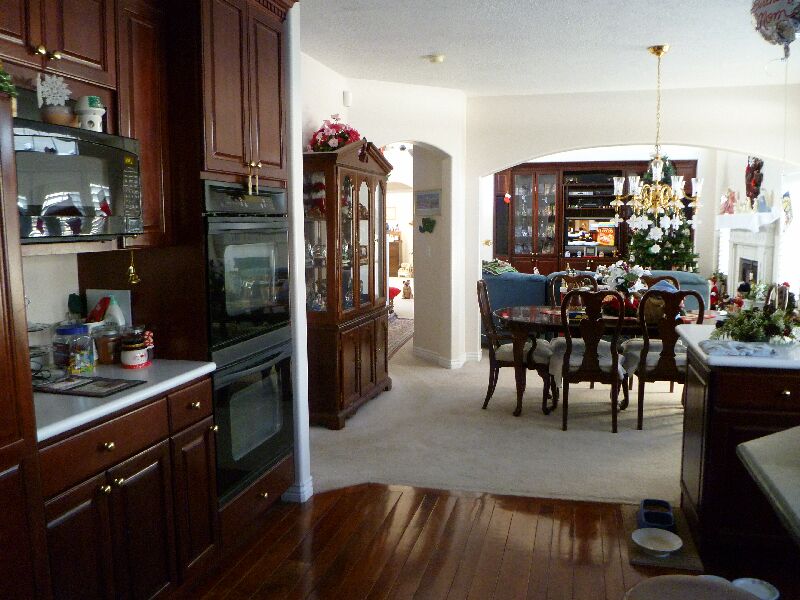 P1000250-.jpg (95079 bytes)