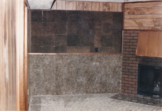 T2Basement.jpg (43327 bytes)